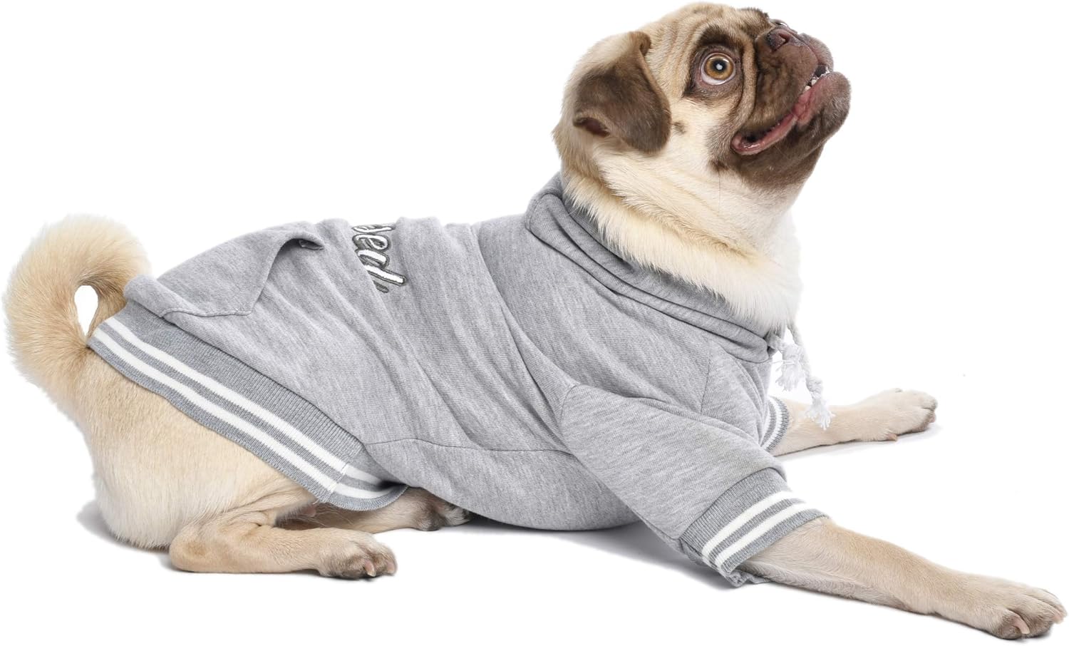 Parisian Pet Dog Blessed Hoodie Sweatshirt Pullover Winter Sweater, S - Image 5