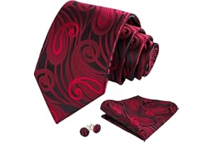 Mens Elegant Paisley Floral Pattern Tie with Pocket Square Cufflinks Set