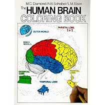 Neuroscience for Communicative Disorders: Bhatnagar PhD, Subhash C