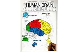 Human Brain Coloring Book
