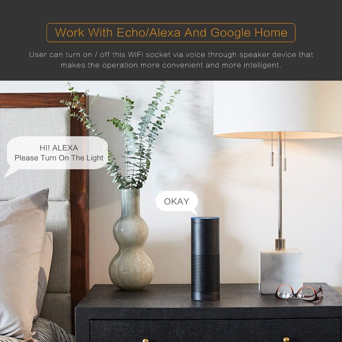 alexa controlled fused spur