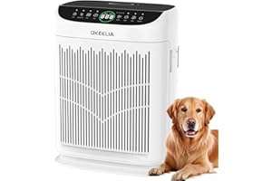 Air Purifiers for Home Large Room Up to 3000 Ft² with Washable Filters,AKEELIA HEPA Double-Sided Air Purifier with PM2.5 Air 