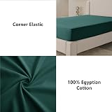 My home store Fitted Sheet 100% Egyptian Cotton 300TC Emerald Double view 4