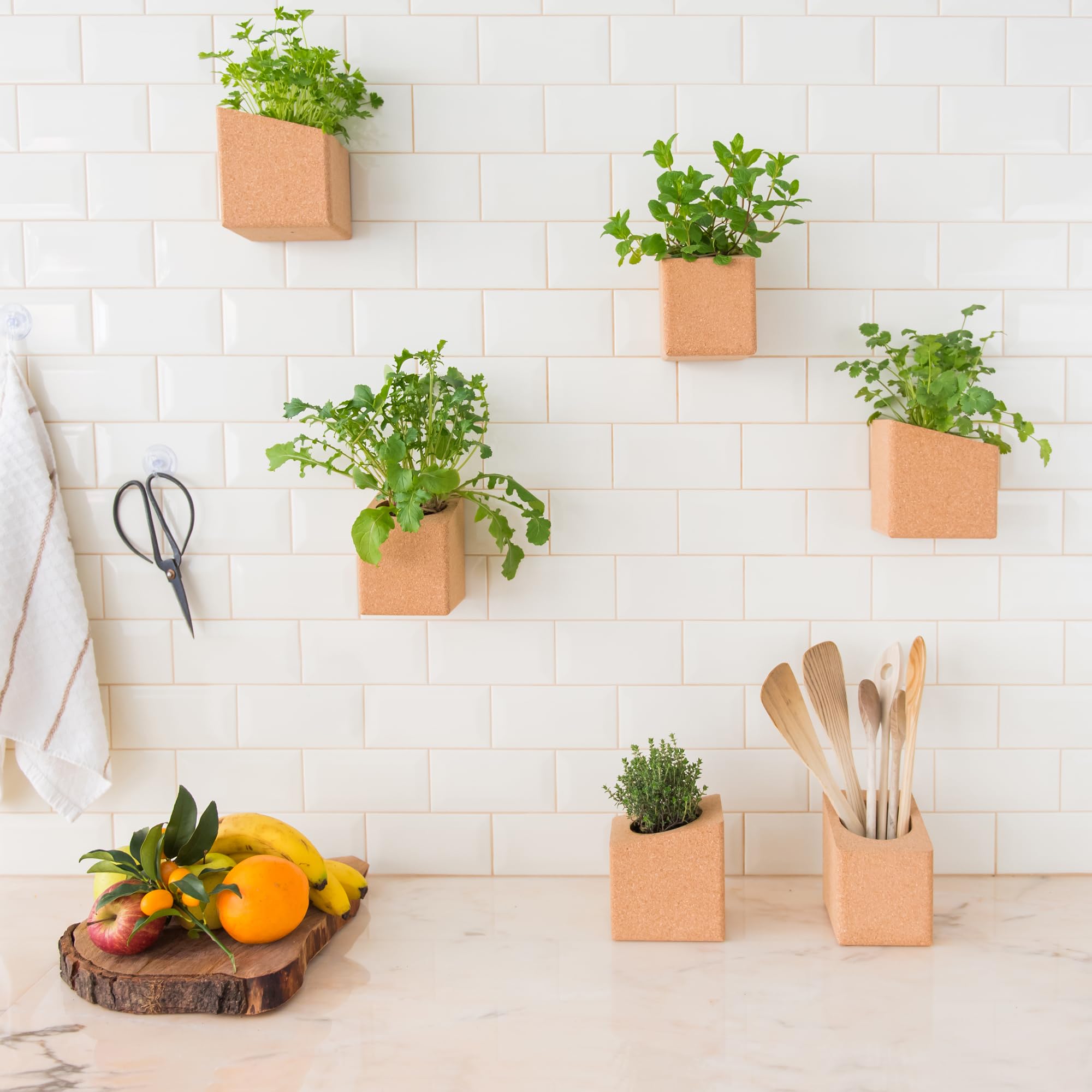 Life in a bag Hanging Indoor Plant Pot - Wall Plant - Cork Hanging Flower Pot - Wall Planter - Wall Vase - Wall Kitchen Decoration