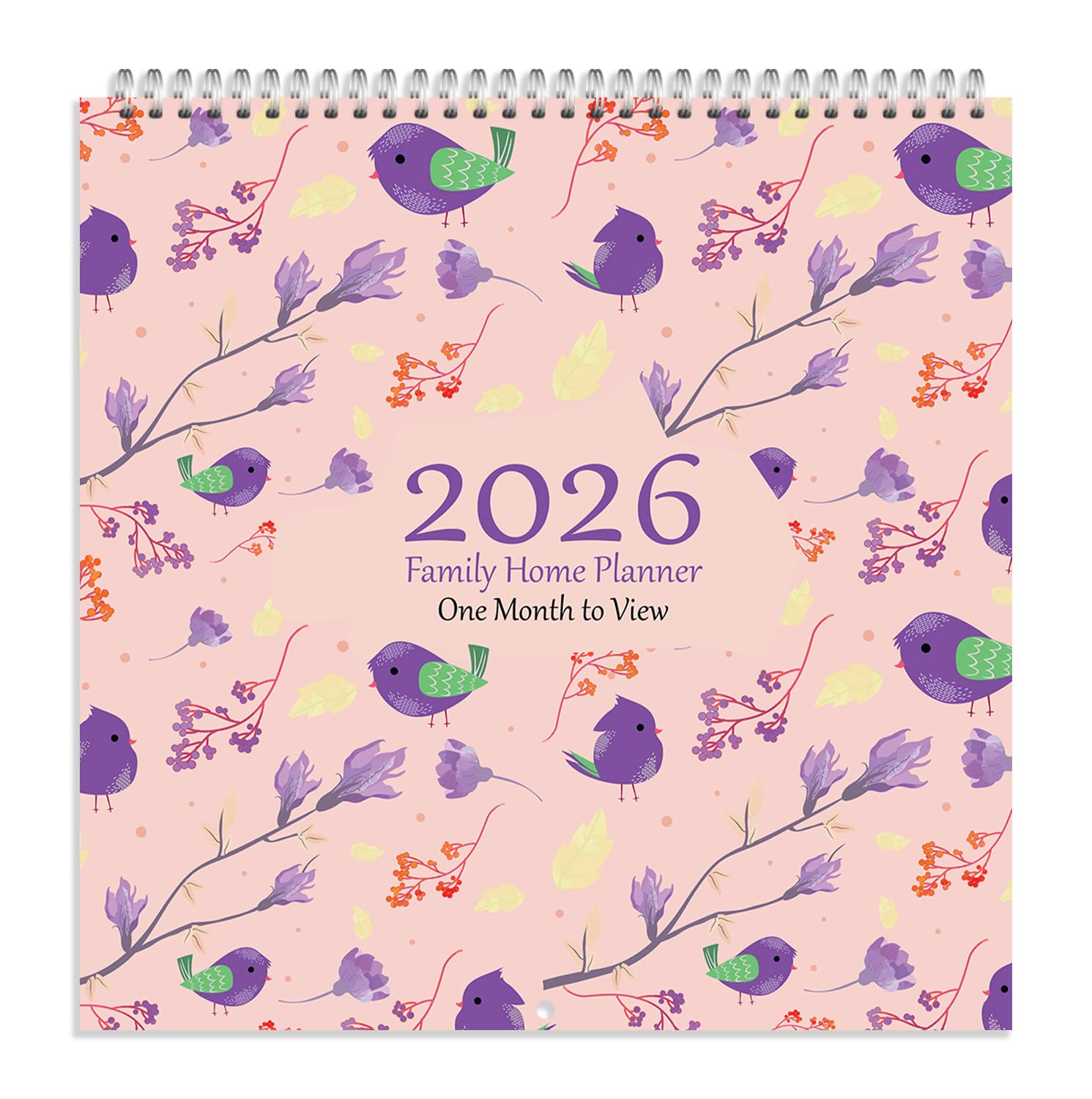 Arpan 2026 Family Home Planner Wall Calendar – Month to View Family Planner 2026 with 5 Columns Including Birthday Column | 2026 Family Planner Calendar | Family Calendar 5 Columns for Busy Homes