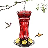 Jealoeur Hummingbird Feeder for Outdoors