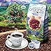 Subtle Earth Organic Coffee - Dark Roast - Whole Bean Coffee - 100% Arabica Beans - Low Acidity and Non-GMO - 5lb bag