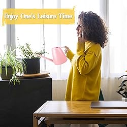 Watering Can for Indoor Plants, Small Watering Cans