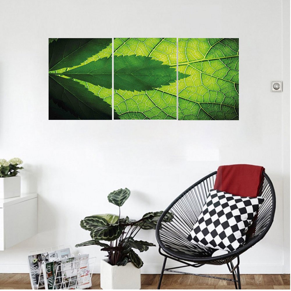 Liguo88 Custom Canvas Green Decor Nature Forest Big Amazon