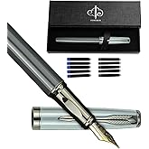 YUNCHUN Fountain Pens Set for Writing, Fancy Medium Nib Ink Pens of Morandi Color with 5 Black and 5 Blue Refills Cartridges, Best Pen Gift Set for Men & Women, Office Professional Pen for Work, Gray