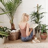 Aileem Moss Poles 122cm 2 Pack Bendable Plant Support Climbing Poles view 8