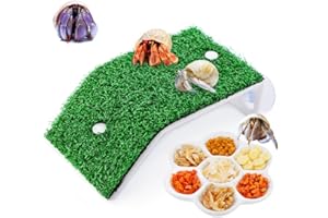 DQITJ 1 Pack Hermit Crab Ramp Toys Simulation Grass Hermit Crab Ramp Climbing Ladder with 1 Pack Ceramic Food Dish for Hermit Crab Habitat