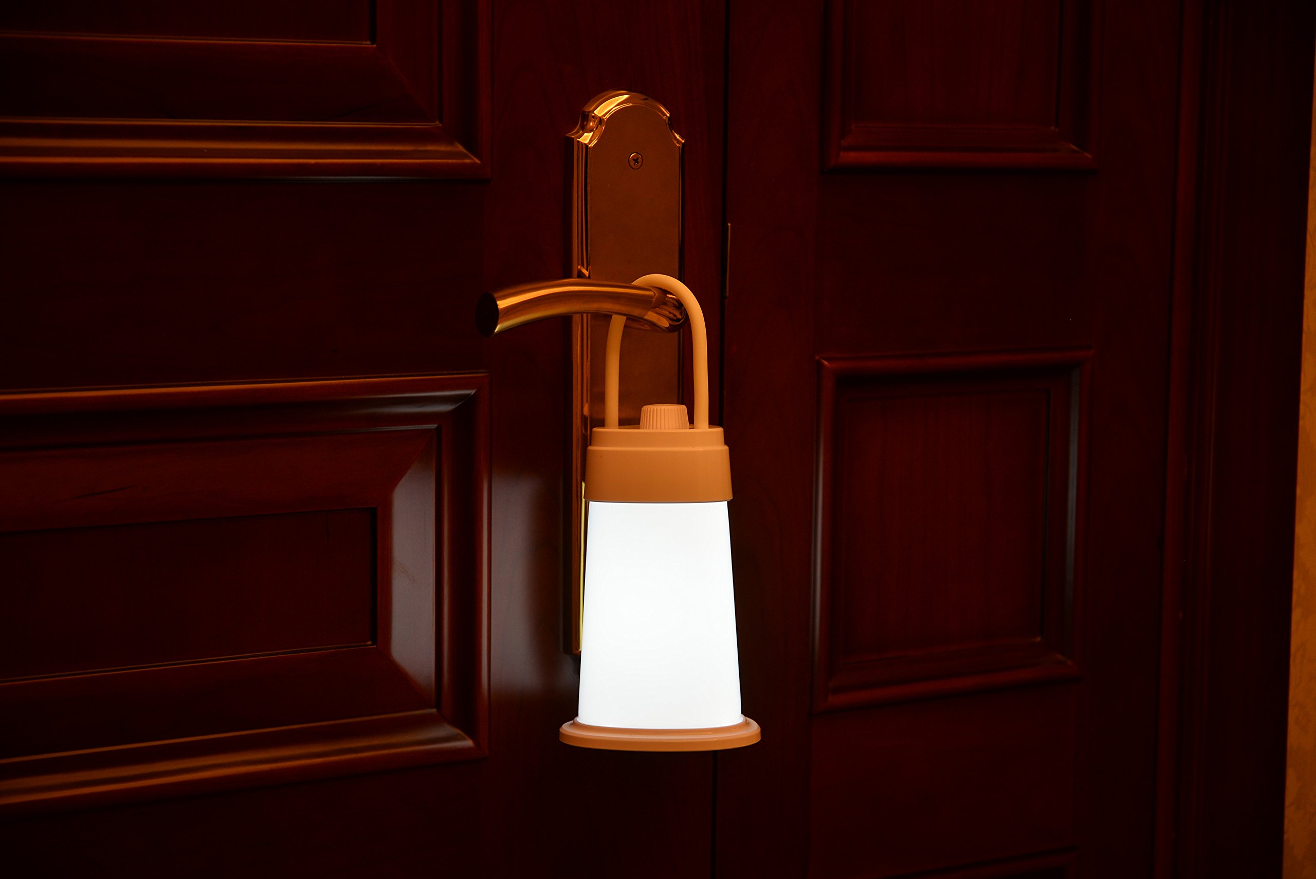 Rechargeable Battery Powered Reading Book Light for Bed, LED Dimmable Adjustable Desk Table Lamp USB Charging Port for Kids Study Bedroom Bedside Nightstand Headboard Lantern, Nursery Night Lamp