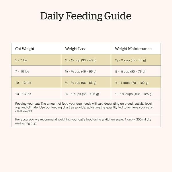 NOW FRESH GOOD GRAVY GRAIN-FREE DRY CAT FOOD WITH SALMON, HEALTHY KIBBLE FOR ADULTS & SENIORS COATED IN BONE BROTH – JUST ADD WATER TO MOISTEN, CHICKEN-FREE RECIPE FOR SENSITIVE STOMACHS, 8 LB BAG