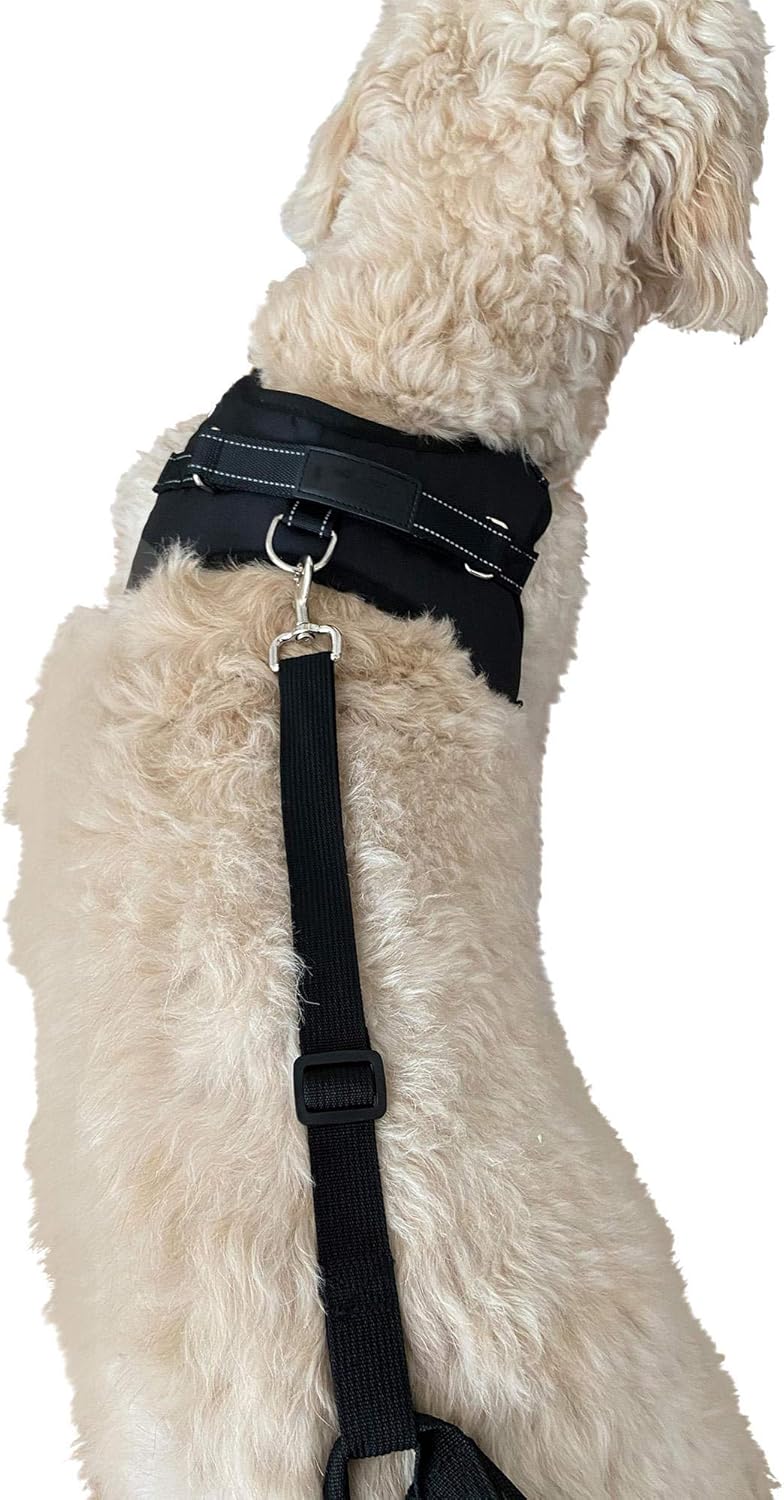 labra dog knee brace