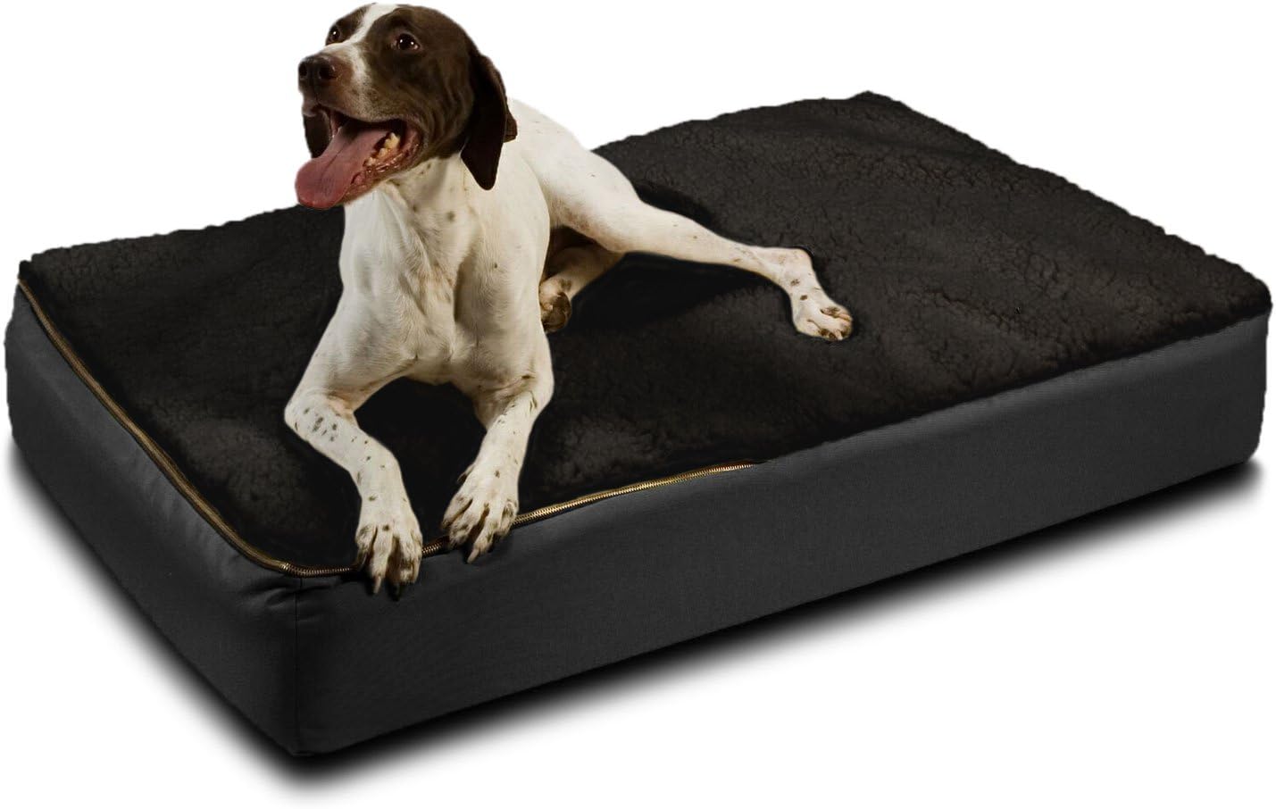 senior dog beds