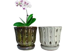 Grdthzey Orchid Pots 4.9Inch Ceramic Orchid Pots with Holes Set of 2 (mossgreen+White)