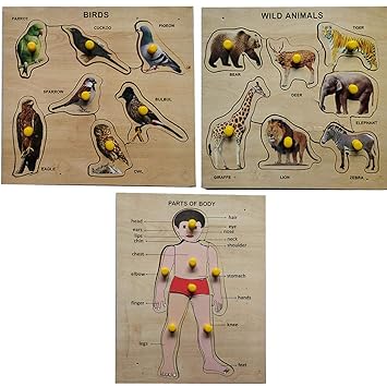 Wissen Wooden Set of Birds, Animals and Parts of Body Learning Puzzle Pack of 3