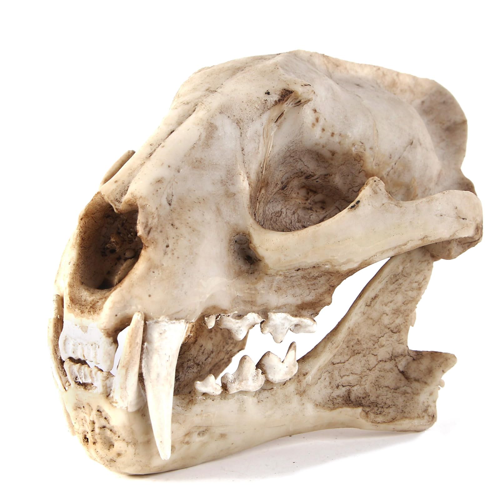 Kocris Casa Vivarium Aquarium Décor Cave Decorations Fish Hideout Betta Tarantula Reptile Snake for Terrarium Ornament Dinosaur Animal Skull Large Bones Halloween