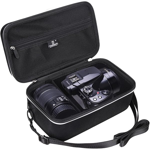Amazon.com : Aenllosi for Panasonic LUMIX FZ80D/FZ80/FZ70 4K