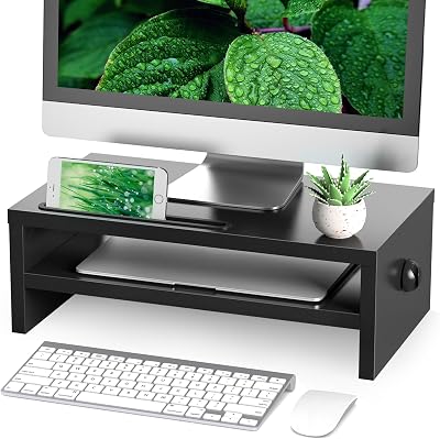 RFIVER Wood Monitor Stand Riser Desk Riser with Phone Holder 2 Tiers Black