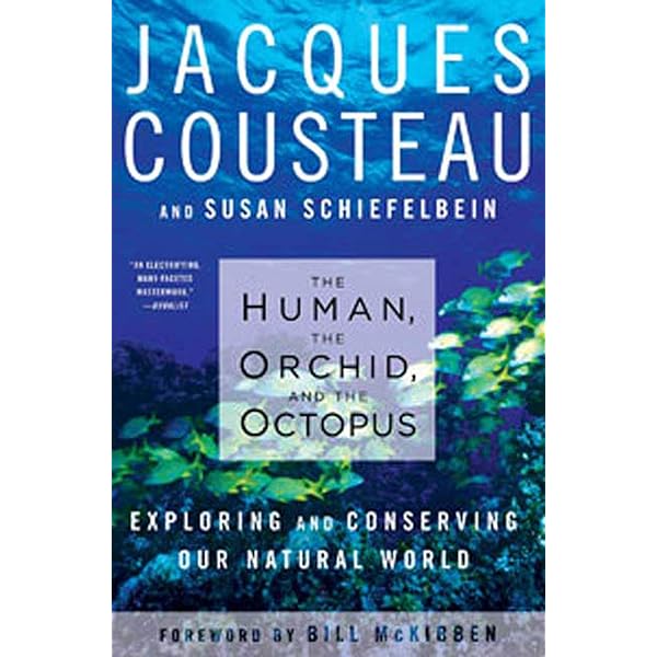 Jacques Cousteau's Calypso: Cousteau, Jacques-Yves; Sivirine, A