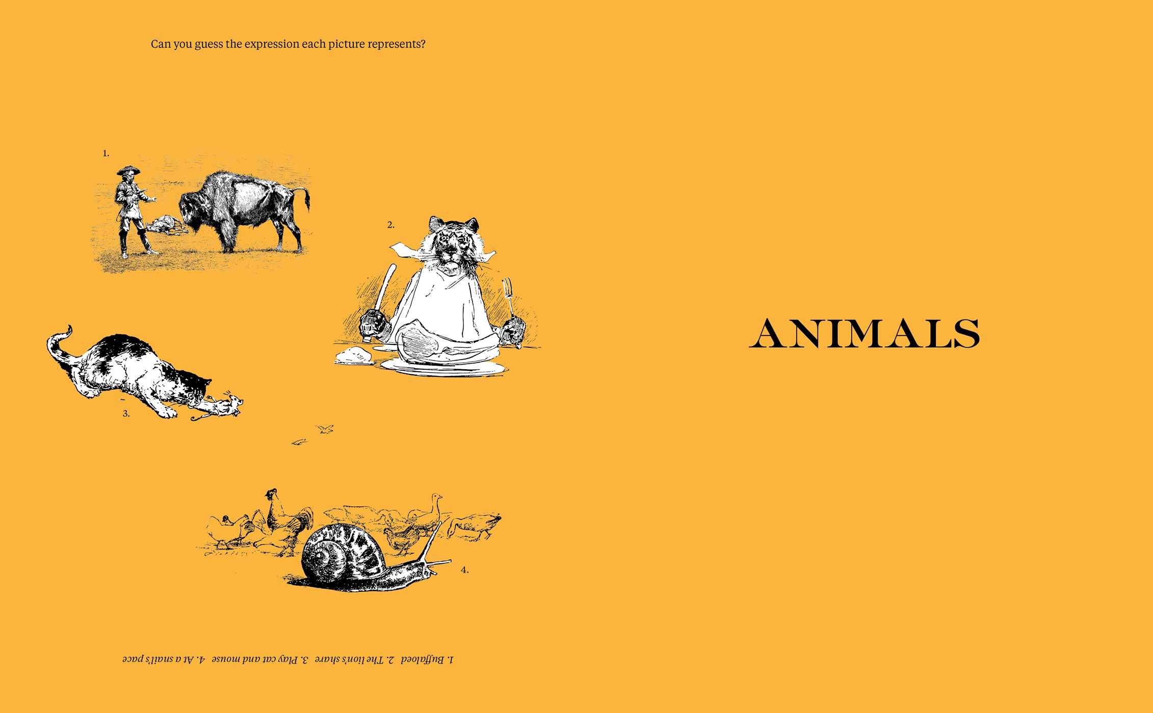 Amazon Com So To Speak 11 000 Expressions That Ll Knock Your Socks Off 9781982163761 Kobliner Shirley Kobliner Phd Harold Books