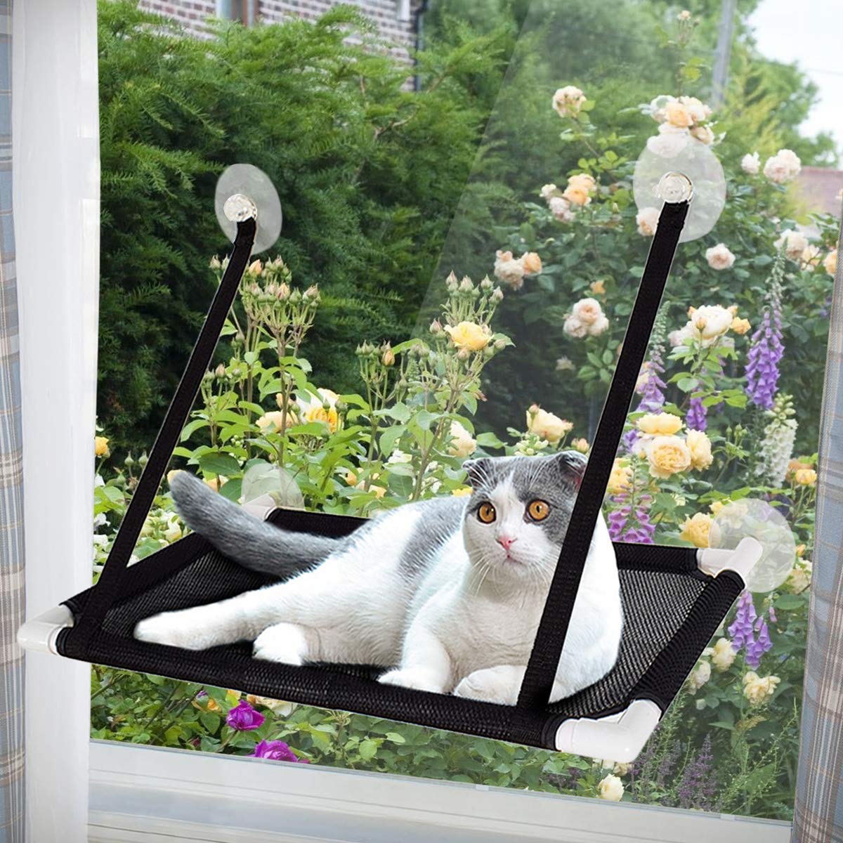Afufu Cat Hammocks Window, Cat Window Seat, Sunny Seat Perches 4 Big Suction Cups Holds Up 10kg, Space Saving and Safety Mounted Bed (Black)