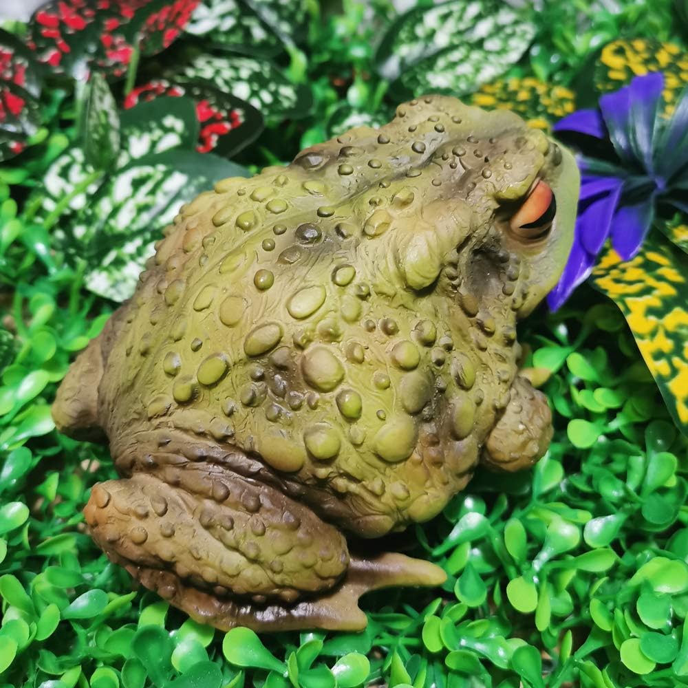 Muse Design Frog Toad Sculptures Garden Statues Yard Art Resin Decorations Outdoor Garden Décor : Garden & Outdoor