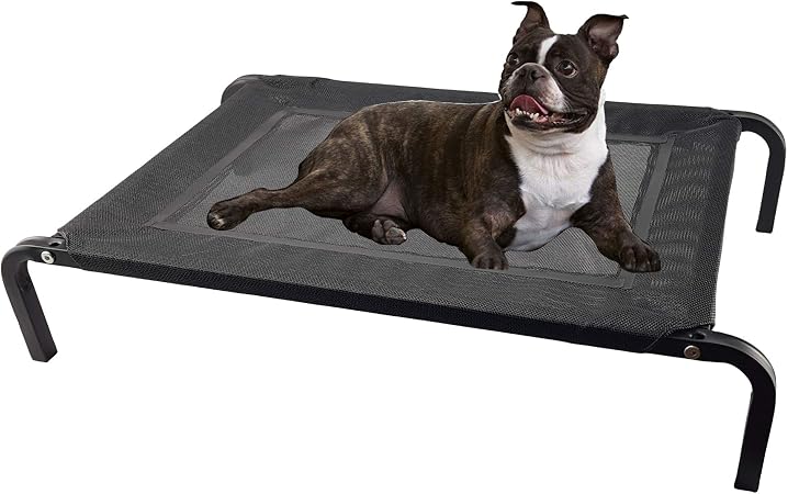 Photo inspiration: Its Bed Time Premium Trampoline Dog Bed Photo Inspiration
