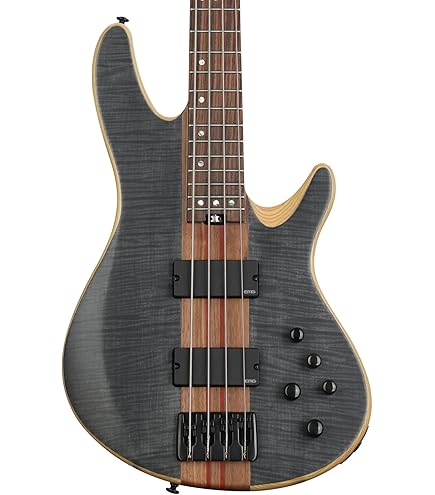 Amazon.com: Schecter Stiletto Extreme 5 Bass Guitar - See