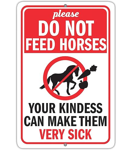 Panneau Métallique "Clean Up After Your Horse" 12x18 Pouces - Pour Centre équestre, Intérieur/extérieur