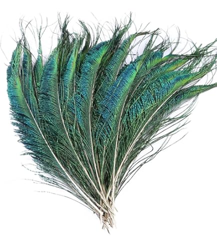 Amazon.com: ZUCKER Feather (TM) - Peacock Swords Bleached/Dyed