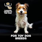 TastyBone Roast Chicken & Thyme Nylon Dog Chew Toy - Indestructible view 3
