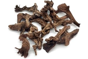 Hamiledyi Aquarium Driftwood 10 PCS Natural Wood Driftwood Branches Fish Tank Habitat Decor Sinkable Reptile Tree Log Decorations Assorted Terrarium Ornament for Aquarium Fish Reptiles Tank Small