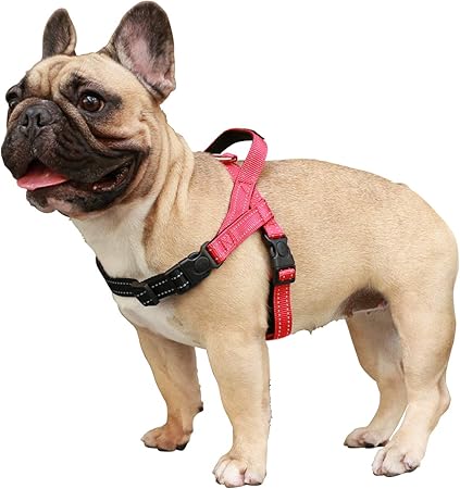 dog harness with handle for small dogs