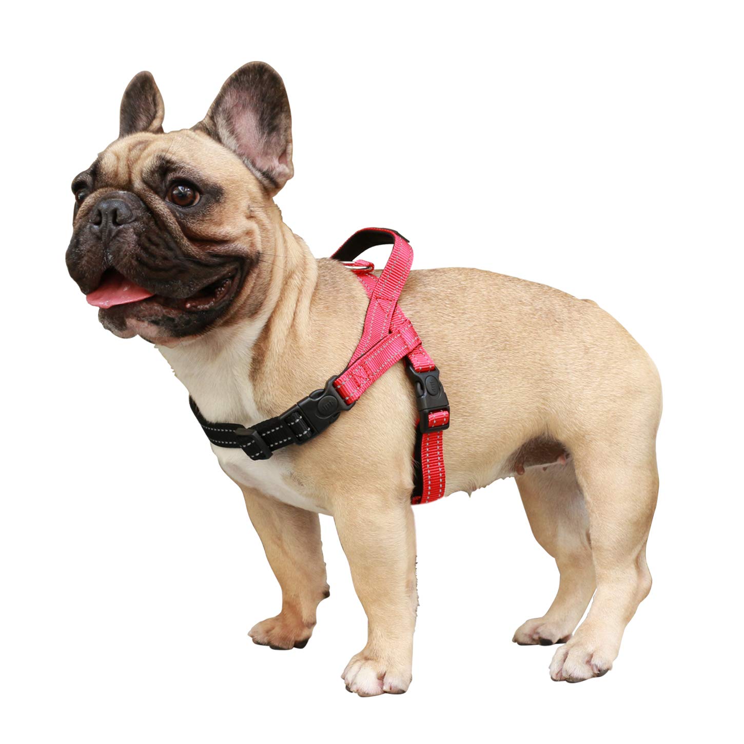 iChoue French Bulldog Harness Adjustable Padded Locked Buckle with Handle for Frenchie Pug English Boston Terrier Dogs, Red, Small