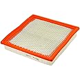 FRAM Extra Guard Engine Air Filter Replacement, Easy Install w/Advanced Engine Protection and Optimal Performance, CA9895 for Select Ford Vehicles