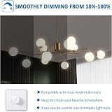 SCNNC G9 Halogen Bulbs 230V 33W Dimmable 460LM 2700K 360° 10 Pack view 5