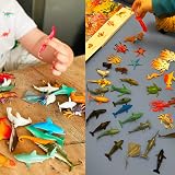 Nabance Mini Sea Animals Set 38PCS Realistic Ocean Life Figures Educational Toy view 2