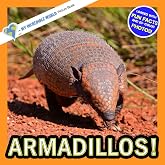 Armadillos!: A My Incredible World Picture Book for Children (My Incredible World: Nature and Animal Picture Books for Children)