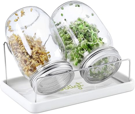 Complete Mason Jar Sprouting Kit