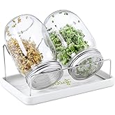 Complete Mason Jar Sprouting Kit - 2 Wide Mouth Quart Sprouting Jars with 316 Stainless Steel Sprouting Lids, Ceramic Drip Tr