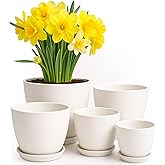 Utopia Home Plant Pots Indoor with Drainage Holes – Set of 5 White Plastic Flower Pots (7/6.6/6/5.3/4.8 Inch) – Modern Plante