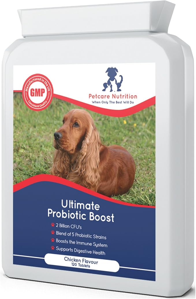 best probiotic for dogs uk