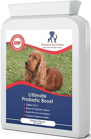 best probiotic for dog yeast infection uk