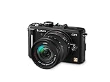 Panasonic Lumix DMC-GF1 12.1MP Micro Four-Thirds