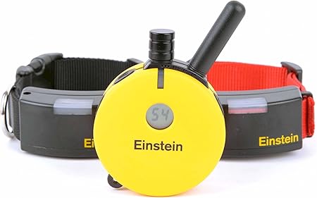 einstein collar