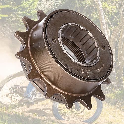 T best Single Speed Freewheel, Bike Freewheel Sprocket Gear 14T Single  Speed Flywheel for Mountain Road Foldin