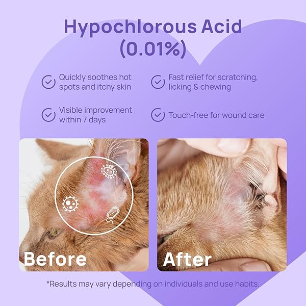 HICC PET HOT SPOT ITCH RELIEF SPRAY FOR DOGS, CATS – PET TREATMENT SPRAY FOR ITCHY, IRRITATED SKIN, ALLERGY, RASHES – LICK SAFE AND PAINLESS WOUND CARE SPRAY FOR ALL ANIMALS (3.4 FL OZ)